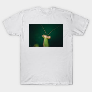 Mantis T-Shirt